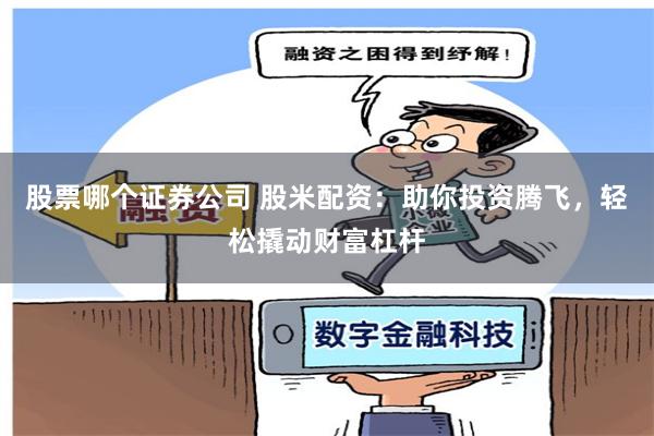 股票哪个证券公司 股米配资：助你投资腾飞，轻松撬动财富杠杆