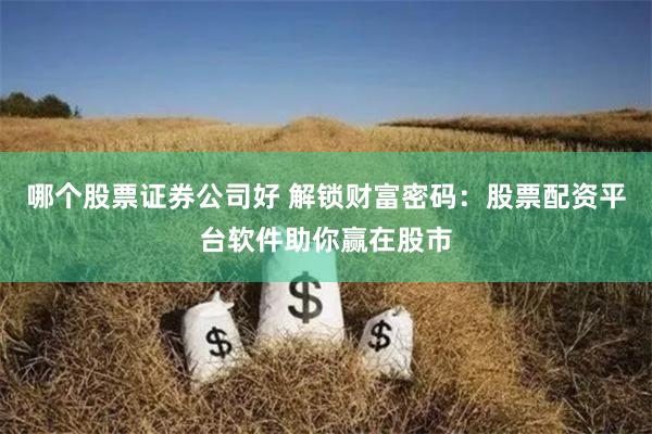 哪个股票证券公司好 解锁财富密码：股票配资平台软件助你赢在股市