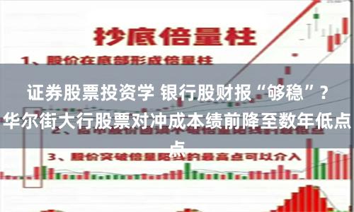 证券股票投资学 银行股财报“够稳”？华尔街大行股票对冲成本绩前降至数年低点