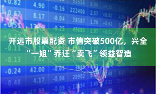 开远市股票配资 市值突破500亿，兴全“一姐”乔迁“卖飞”领益智造