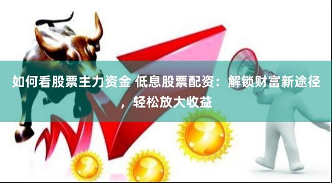 如何看股票主力资金 低息股票配资：解锁财富新途径，轻松放大收益